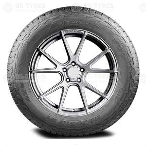 Antares Majoris R1 295/45 R20 114W