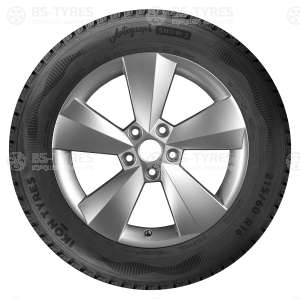 Ikon (Nokian Tyres) Autograph Snow C3 205/70 R15C 106/104R