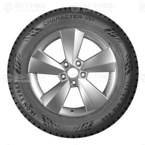 Ikon (Nokian Tyres) Character Ice 7 (Nordman 7) 225/45 R17 94T