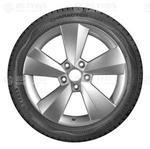 Ikon (Nokian Tyres) Character Snow 2 (Nordman RS2) SUV 235/65 R17 108R