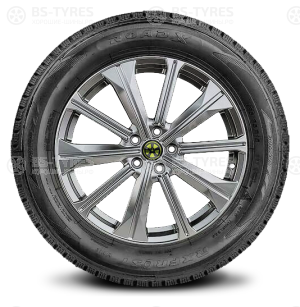 Roadx Frost WH12 225/65 R17 102S