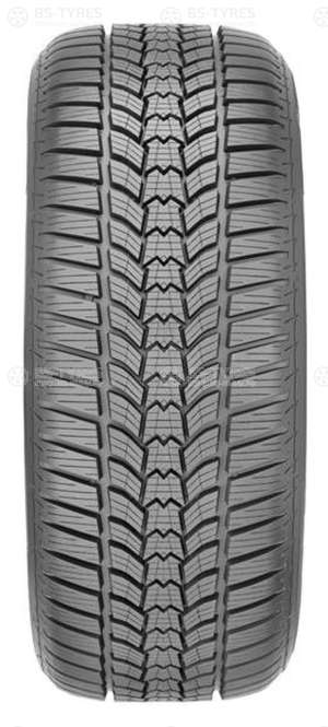 Sava Eskimo HP2 195/55 R15 85H