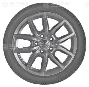 Sava Eskimo HP2 195/55 R15 85H